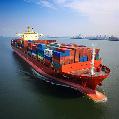 China to Dallas Sea Freight with 7 Days Free Storage, Daily Departure, and Door-to-Door Service for Amazon Shipping