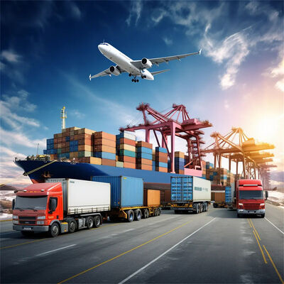 China to USA Amazon Norfolk Ocean Freight with 7 Days Free Storage, Daily Departure, and Door-to-Door Service