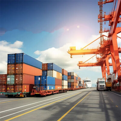 China to Libya Sea Freight Container Shipping with 7 Days Free Storage Daily Departure and Door-to-Door Service