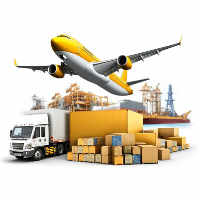 China to Africa Sea Freight with 7 Days Free Storage Daily Departure and Door-to-Door Service
