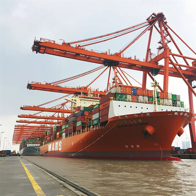 Reliable Sea Freight and Container Shipping with 7 Days Free Storage, Daily Departure, and Door-to-Door Service