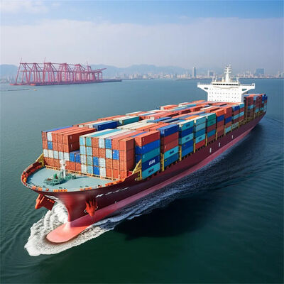Professional Sea Freight and Ocean Freight Services with 7 Days Free Storage, Daily Departure, and Door-to-Door Delivery