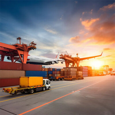 China to France Sea Freight Service with 5 Days Free Warehousing, Daily Departure, and Door-to-Door Delivery