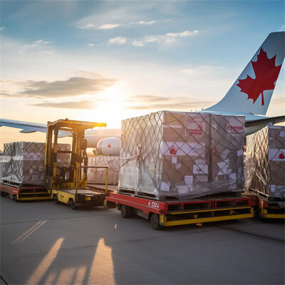 Belgium Railway Freight Service with 15-30 Days Transit Time, Free 7-Day Storage, and Daily Departure