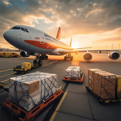 Professional Air Freight and Air Cargo Services with 24 Hours Customer Support, 7 Days Free Storage, and Customs Clearance