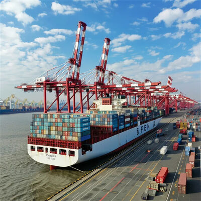 China to Denver FBA Sea Freight with 7 Days Free Storage, Daily Departure, and Door to Door Service