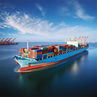 China to Uruguay Sea Freight with 7 Days Free Storage, Daily Departure, and Door-to-Door Container Shipping Service