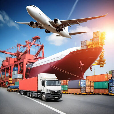 China to Sierra Leone Sea Freight with 7 Days Free Storage, Daily Departure, and Door-to-Door Service