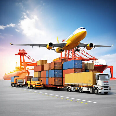 Reliable China Sea Freight and Ocean Freight with 7 Days Free Storage, Daily Departure, and Door-to-Door Service