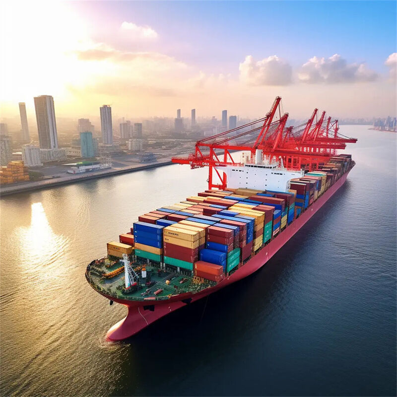 China to USA Sea Freight LCL Logistics with Door to Door Service, 7 Days Free Storage, and Daily Departure