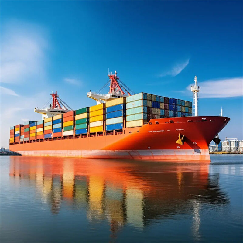 Reliable China to Canada Sea Freight with 7 Days Free Storage, Daily Departure, and Door-to-Door Service
