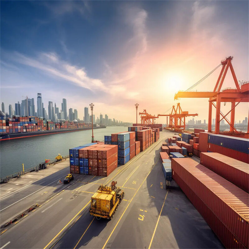 Reliable Sea Freight and Ocean Freight with 7 Days Free Storage, Daily Departure, and Door-to-Door Service