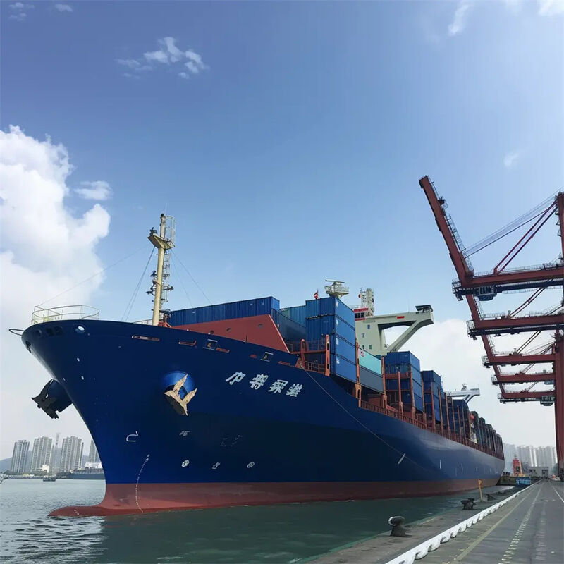 China to USA Ocean Freight with 7 Days Free Storage Daily Departure and Door-to-Door Service