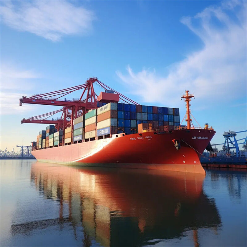 Reliable China to UK Sea Freight with Daily Departure 7 Days Free Storage and Door-to-Door Service