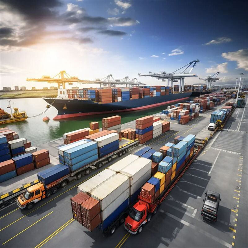 Reliable Sea Freight and Ocean Freight Services with 7 Days Free Storage, Daily Departure, and Door-to-Door Delivery