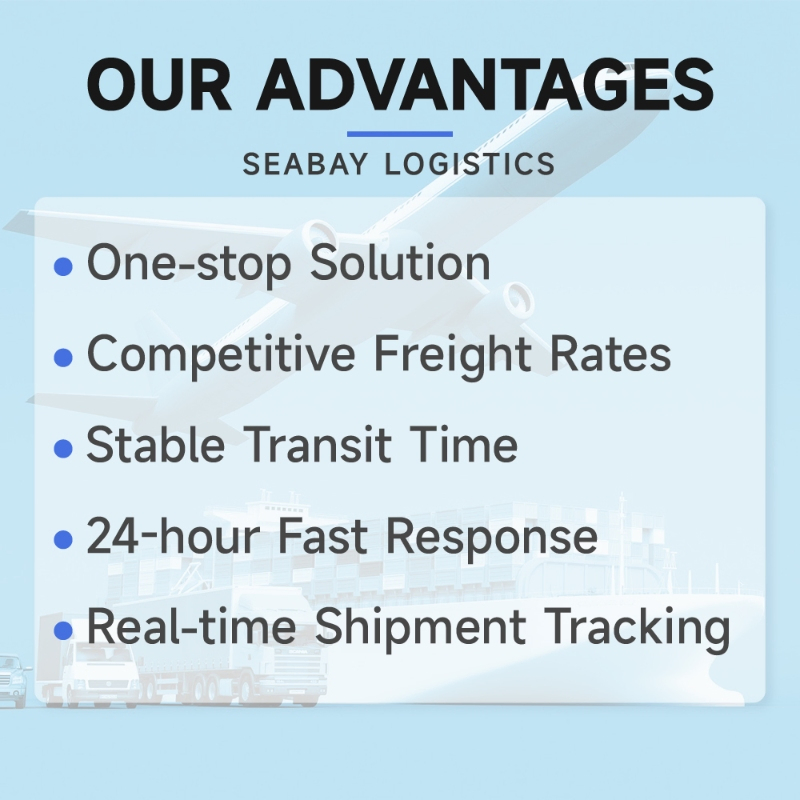 Railway Cargo Shipping From Ningbo to UAE/Abu Dhabi Logistics Services