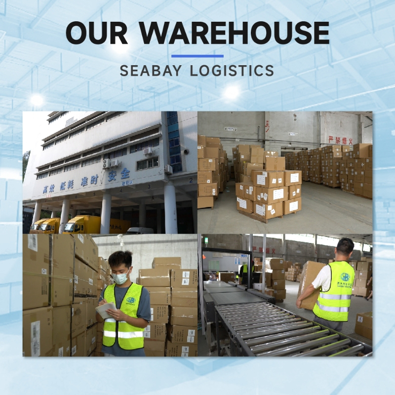 Reliable China to UK Sea Freight with 7 Days Free Storage Daily Departure and Door-to-Door Service